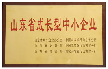 山東省成長型中小企業(yè)